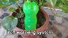 3 Self Watering System For Plants Drip Irrigation System Bottle Watering System