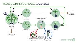 Complete Tissue Culture Kit Microclone Cloning Micropropagation Tissueponics TC