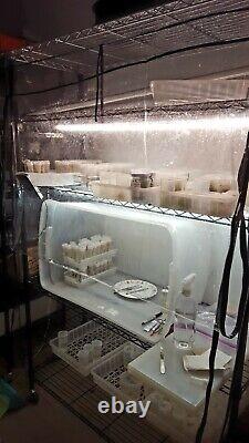 Complete Tissue Culture Kit Microclone Cloning Micropropagation Tissueponics TC