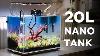 How To Build An Amazing Nano Aquascape New Aquarium Tank Setup