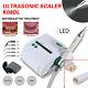 Led Dental Piezo Ultrasonic Scaler Fit Woodpecker Ems / Auto Water Bottle System