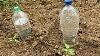 Make Drip Irrigation From Recycled Plastic Bottles Self Watering System Made Simple
