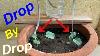 Plastic Bottle Drip Water Irrigation System Very Simple