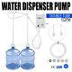 Us 110v Ac Bottled Water Dispensing Pump System Replaces Bunn Double Tubes 1 Gal