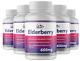 Elderberry Capsules 600mg Immune System Support 5 Bouteilles 300 Capsules