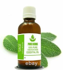 Herbes pures de sauge 100% pure et naturelle Huile essentielle de Salvia officinalis