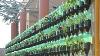 Le Projet De Système De Bouteilles De Jardin Vertical Éducatif De Green Wall