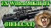 Nouveau Fx Wildcat Mkiii Bouteille Version 41 Grain Zan Slugs