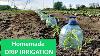 Système D'irrigation Rapide Pour La Culture Des Tomates U0026